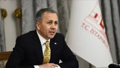 aliyerlikaya