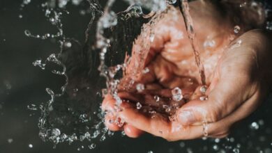 nathan dumlao kdxqbavebwi unsplash 1200x800 1