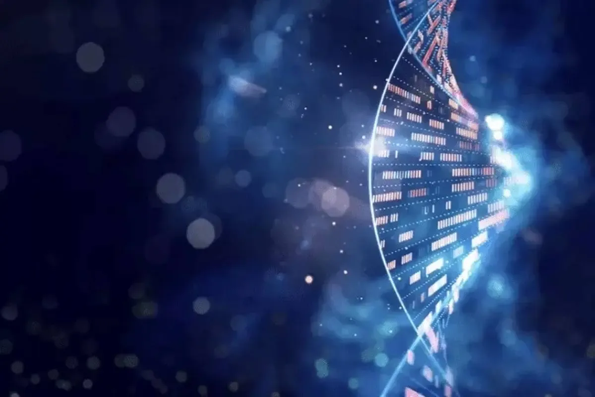 آزمایش DNA چگونه نشان می‌دهد دو نفر بایکدیگر نسبت فامیلی دارند؟1