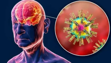 آیا ضربه به سر، ویروس‌ های خفته مغز را بیدار می‌کند؟