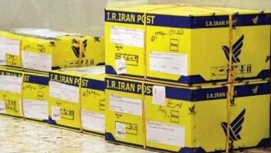 صحرا اسداللهی