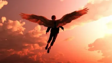 اگر انسان می‌توانست پرواز کند، بال‌ هایش چه اندازه بودند؟