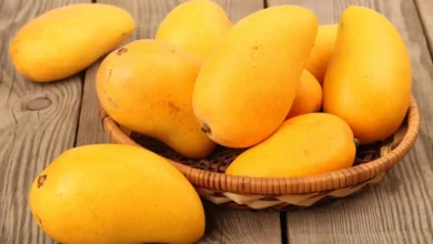 راهکار تغذیه‌ ای برای افزایش وزن