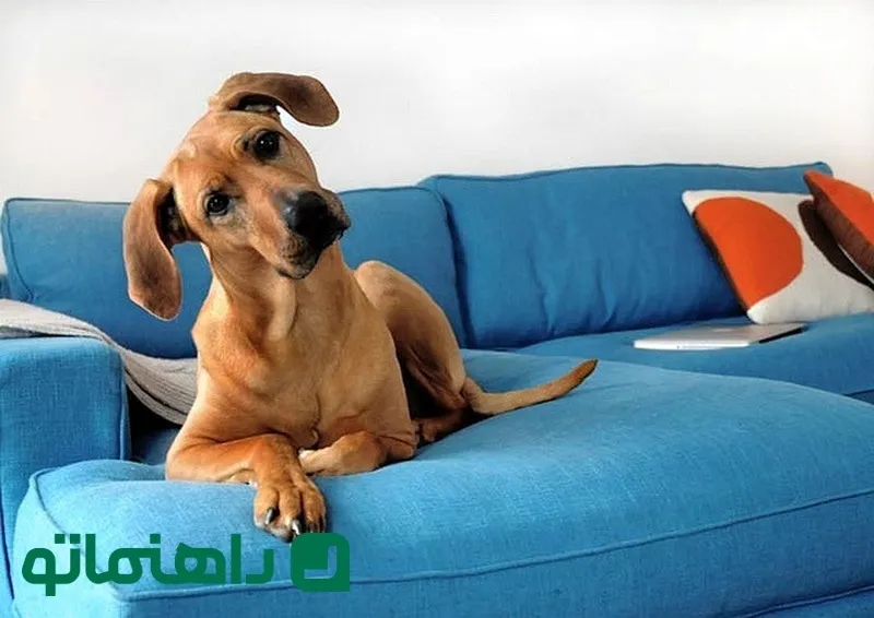 برق انداختن انواع مبلمان