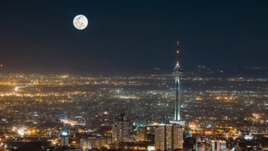 پیاده روی