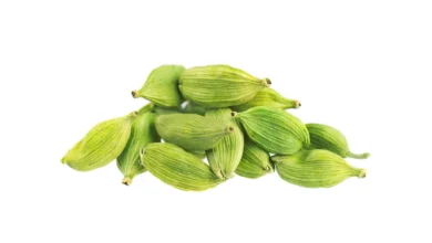 بوی بد دهان