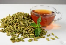 بوی بد دهان