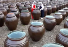 سس سویا