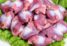 سنگدان مرغ