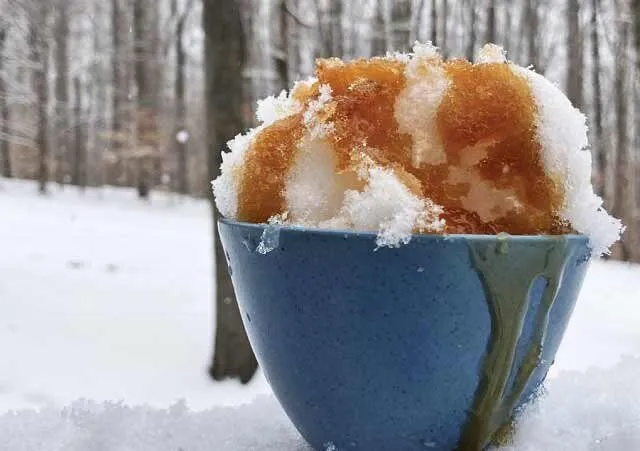 غذاها و نوبرانه های زمستانی