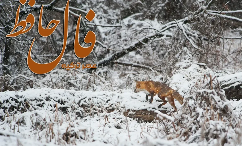 فال حافظ 5 بهمن 1403