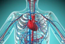 ایستادن طولانی‌‌ مدت