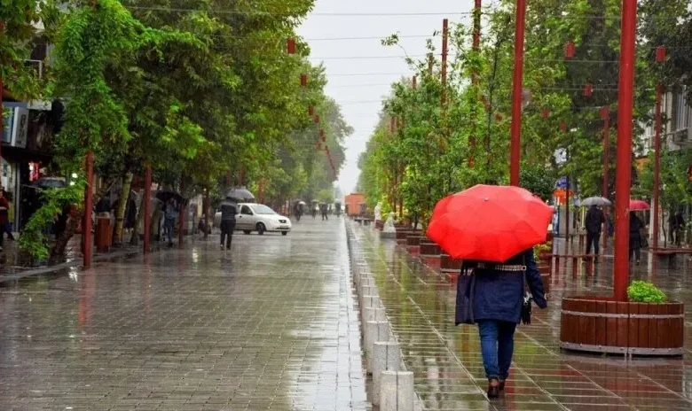 هواشناسی