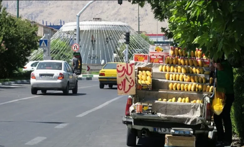 وانتی های کنار اتوبان