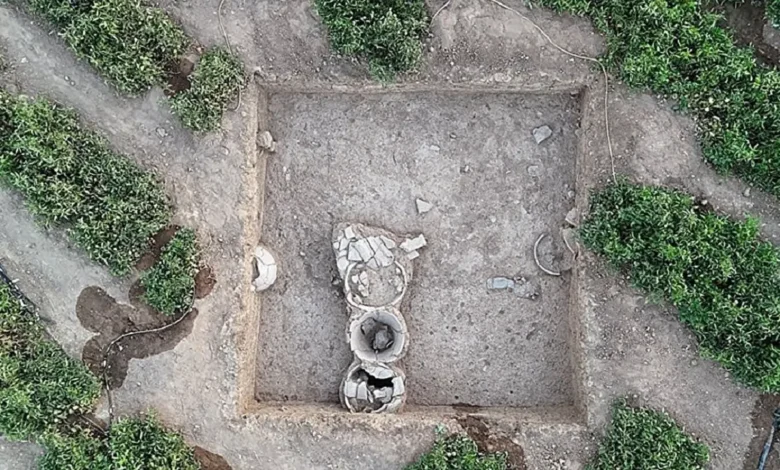 خط میخی