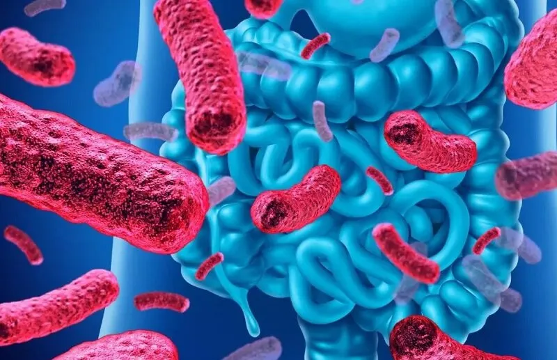 کلید مخفی عمر طولانی چیست؟ 2 کلید مخفی عمر طولانی چیست؟1