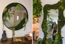 آموزش گام به گام کاشت سبزه عید روی آینه3