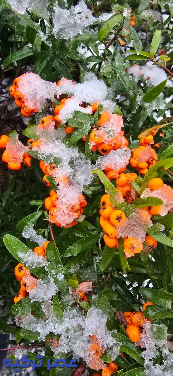 برف استانبول 5