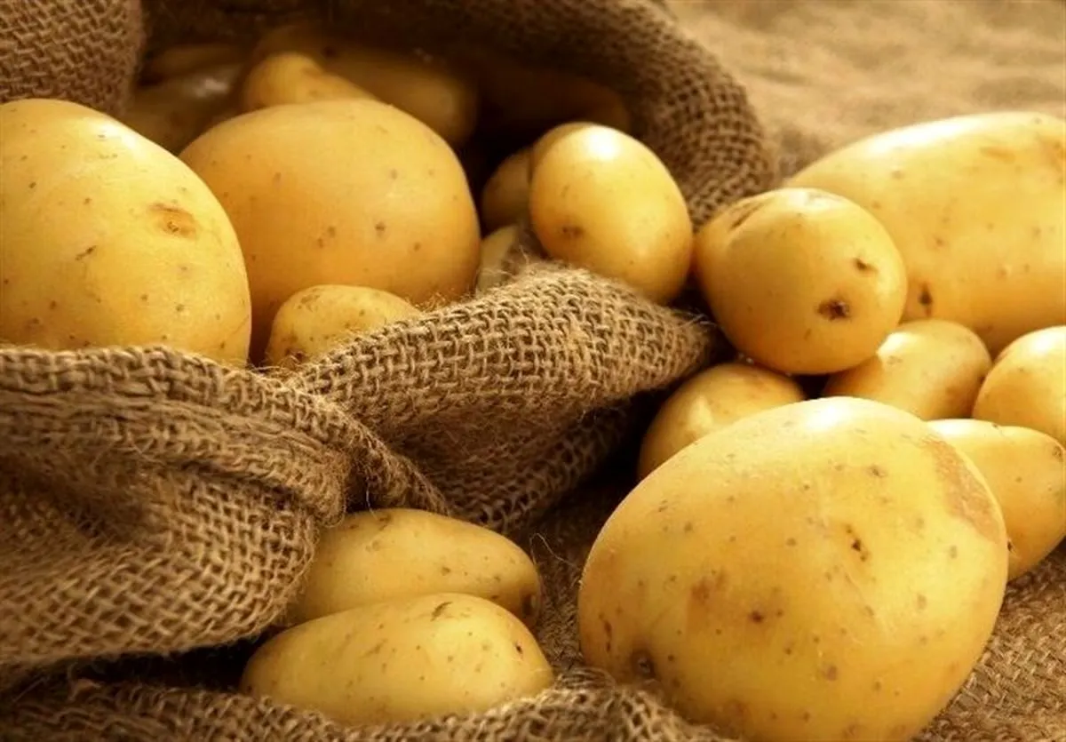 بهترین مواد غذایی برای داشتن پوست سالم1