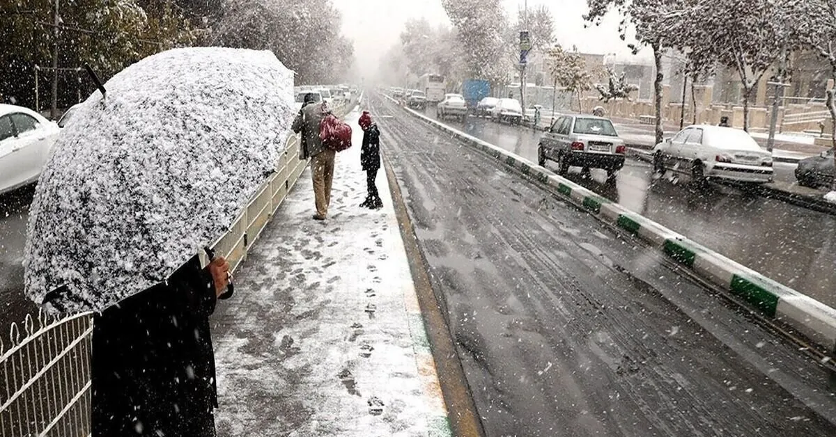 تاریخ ورود سردچال قطبی به ایران مشخص شد1