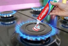 سرویس بهداشتی
