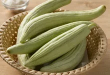خیار چنبر1