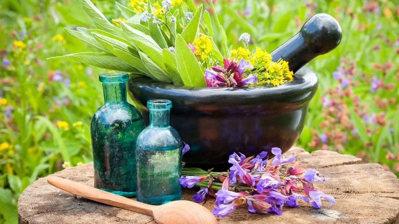 عرق کاسنی و شاه‌تره