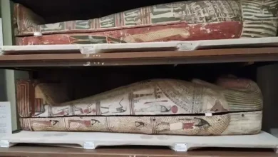 عطر مومیایی های مصر