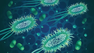 روشهای پیشگیری از عفونت ادراری چیست؟ (فیلم) 8 عفونت ادراری