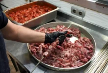 کوبیده بدون گوشت