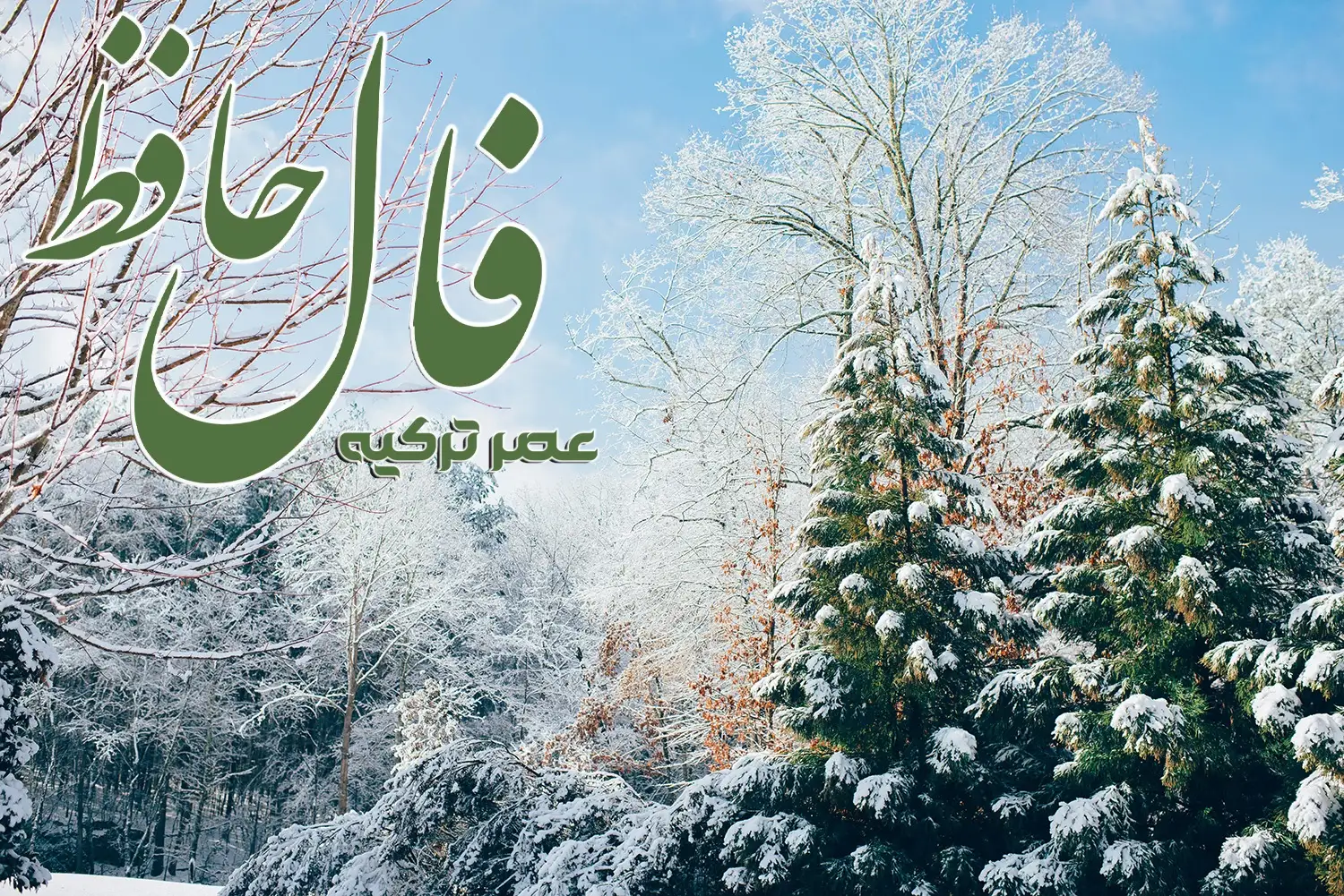 فال حافظ 14 بهمن 1403