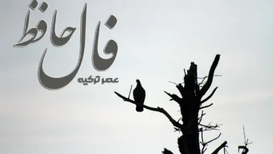 فال حافظ 17 بهمن 1403