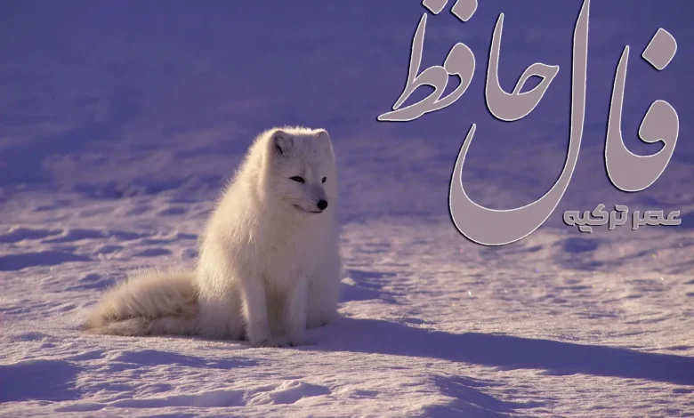 فال حافظ 27 بهمن 1403