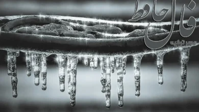 فال حافظ 30 بهمن 1403