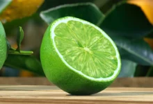 لیمو ترش