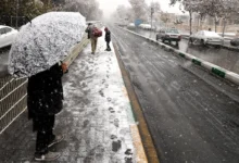 هواشناسی