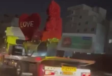 صادرات گل ترکیه