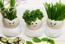 ۱۲ ایده‌ خلاقانه برای درست کردن سبزه عید ۱۴۰۴6