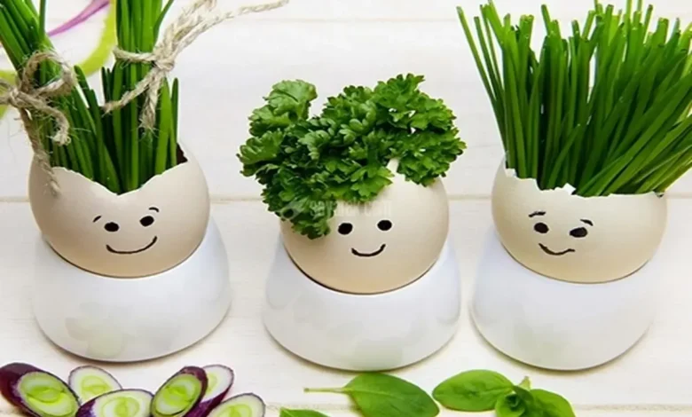 ۱۲ ایده‌ خلاقانه برای درست کردن سبزه عید ۱۴۰۴6