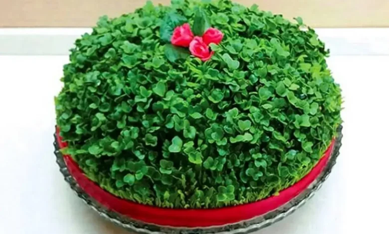 سبزه کنجد