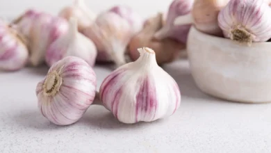 Garlic