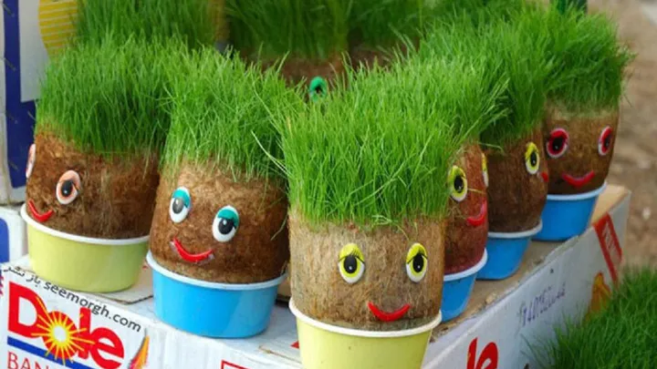 سبزه عروسکی