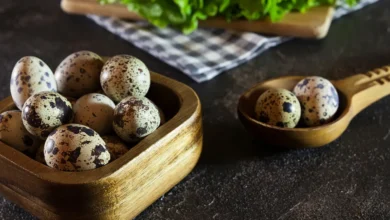 آیا مصرف تخم بلدرچین در زمان بارداری خطرناک است ؟1