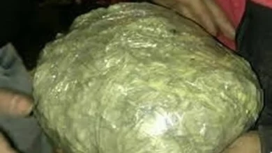 مرجانه گلچین