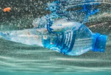 جراحی رباتیک قلب