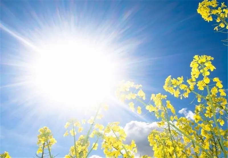 با ۷ مزیت شگفت انگیز نور آفتاب آشنا شوید1