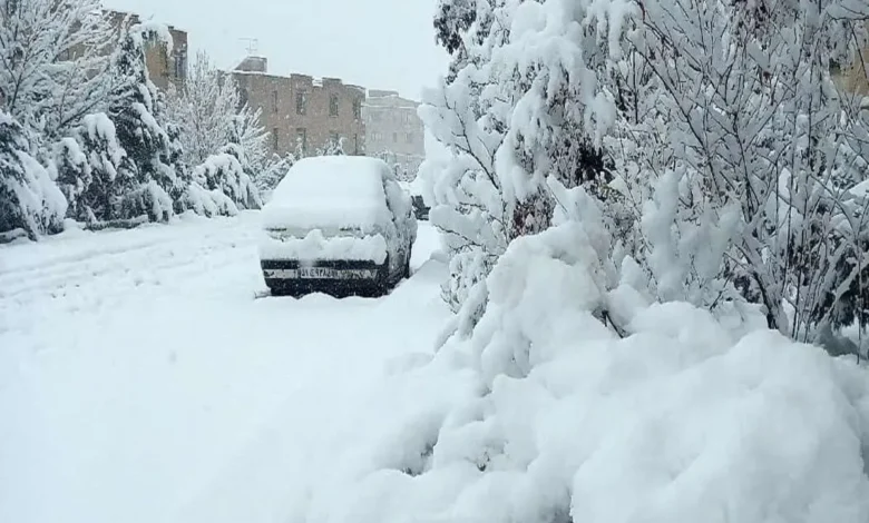 برف