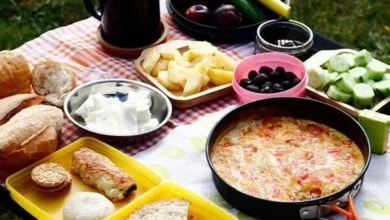 توصیه‌ های غذایی برای مسافرت‌ های نوروزی ۱۴۰۴