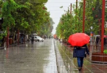 سیزده بدر