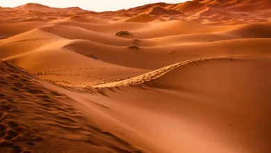 شهر ۵ هزارساله 1